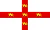 SEO-specialist_York
